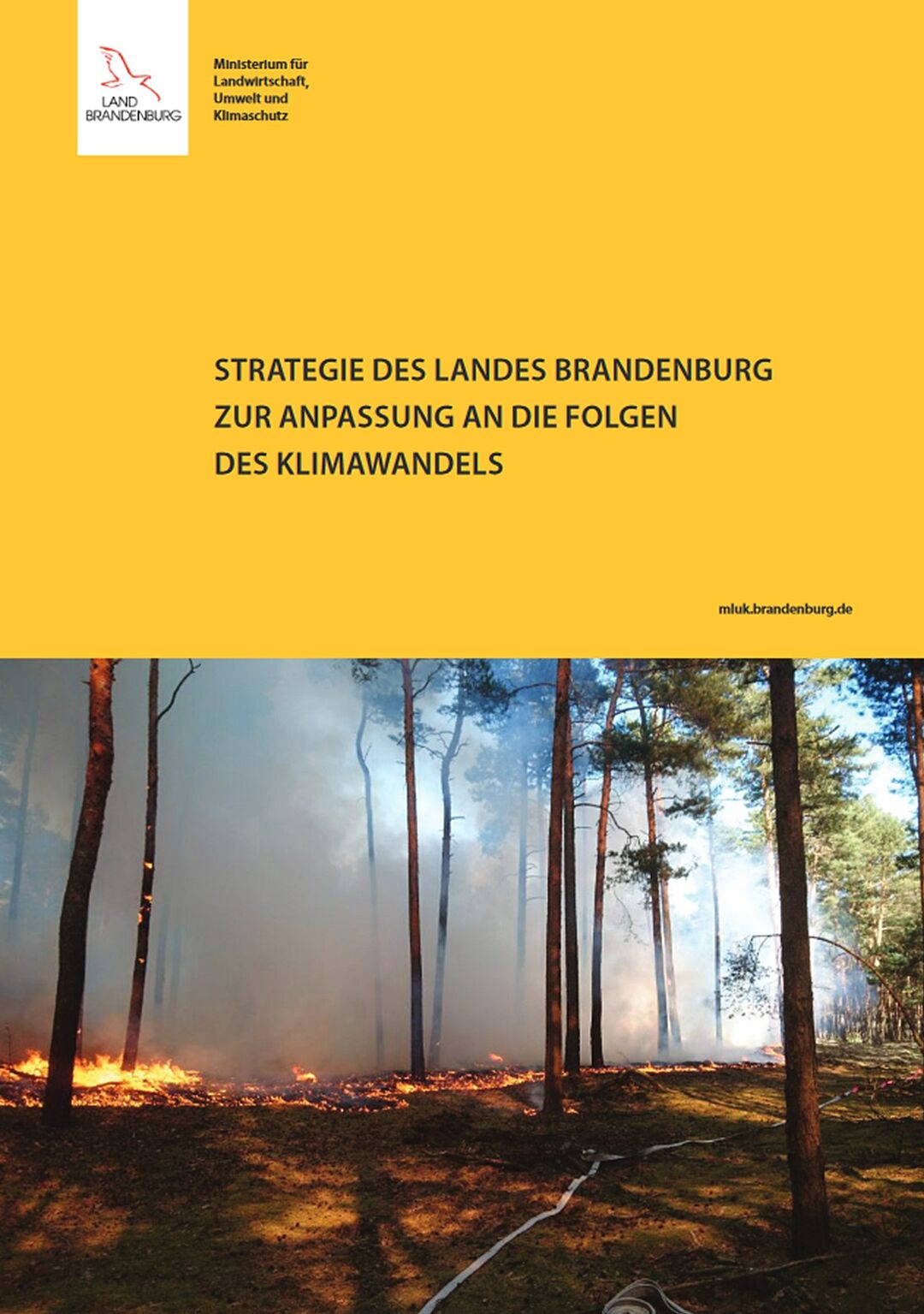Deckblatt der Klimafolgenanpassungsstrategie des Landes Brandenburg