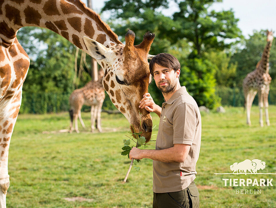 Biologe Dr. Florian Sicks erforscht Giraffen.