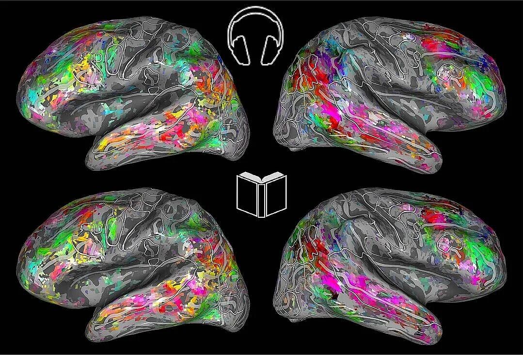 Die farbcodierten Karten des Gehirns zeigen, dass beim Hören (oben) die Bedeutungsverarbeitung von Texten in den gleichen Gehirnregionen stattfindet wie beim Lesen (unten). 