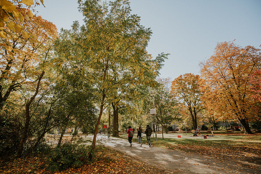 Herbstlich gefärbte Bäume auf dem Campus der TU Berlin