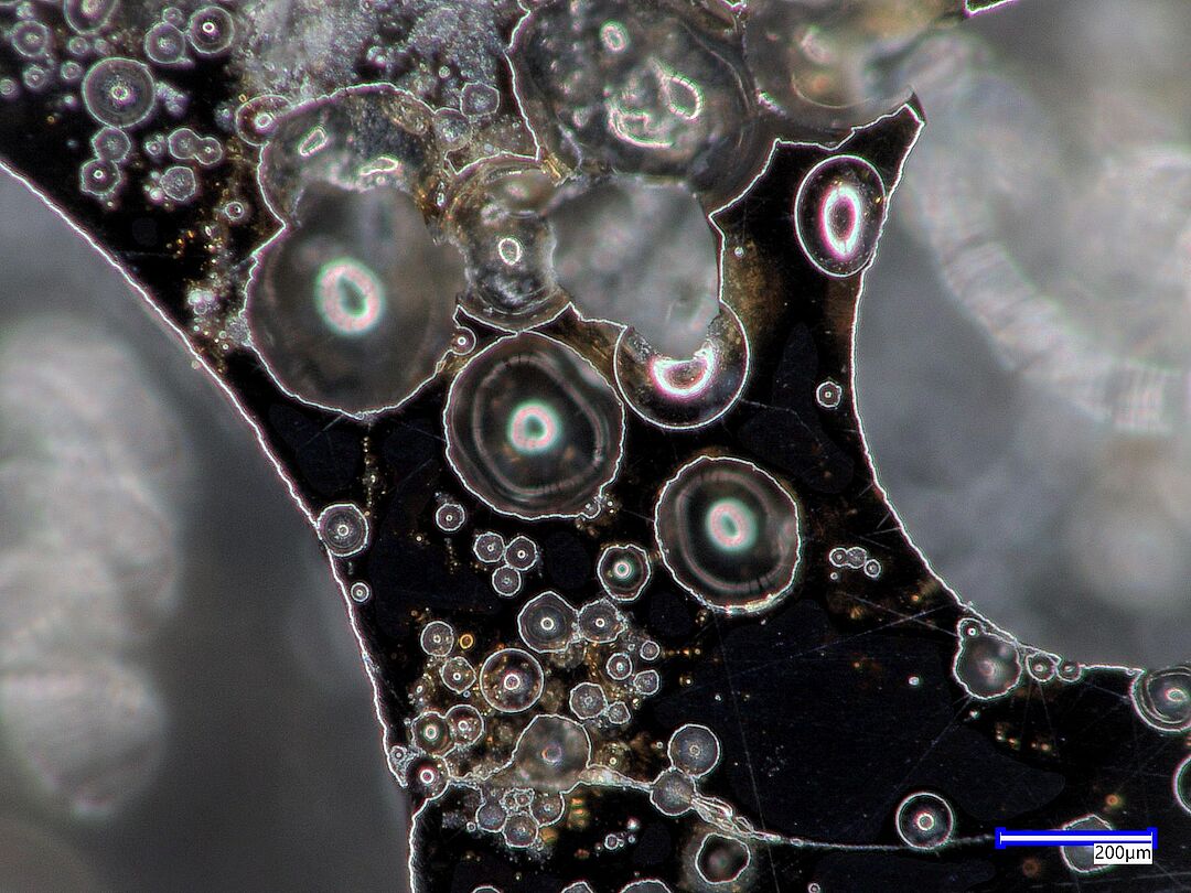 Gelasertes TUBS-M unter dem Mikroskop mit 200 facher Vergrößerung
