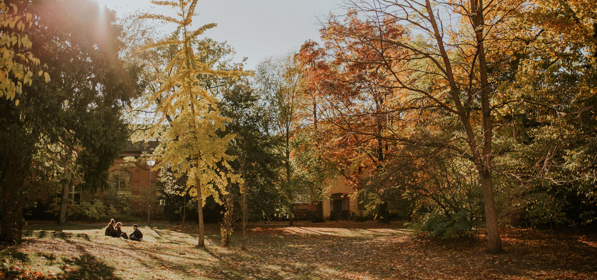 Sonnenschein im Herbst auf der Rückseite des Hauptgebäudes, die Blätter der Bäume sind gelb und rot gefärbt 