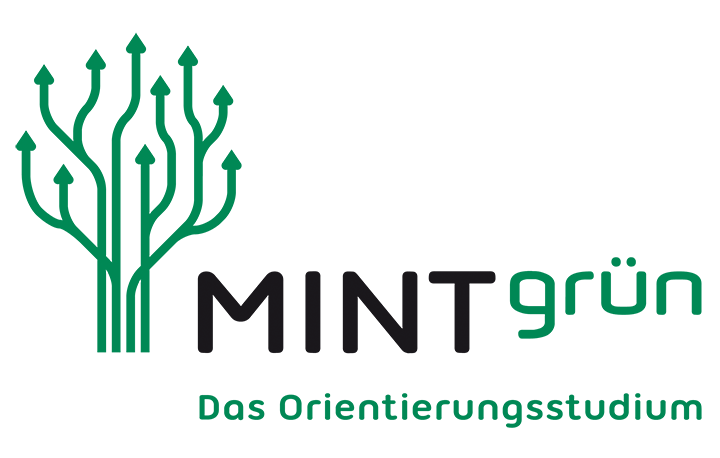 MINTgrün pre-study orientation program