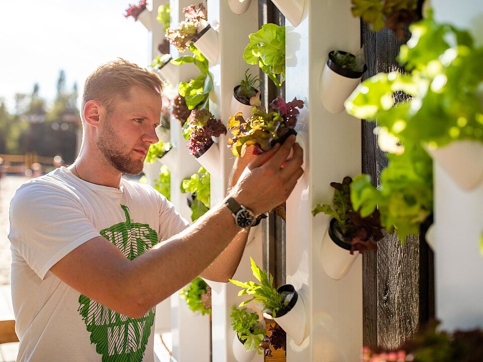 Ein Student prüft Pflanzen an der vertikalen Farm der TU Berlin