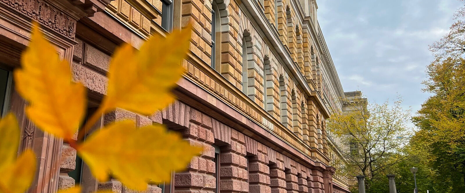 Südseite des Hauptgebäudes der TU Berlin und ein gelber Baumblatt