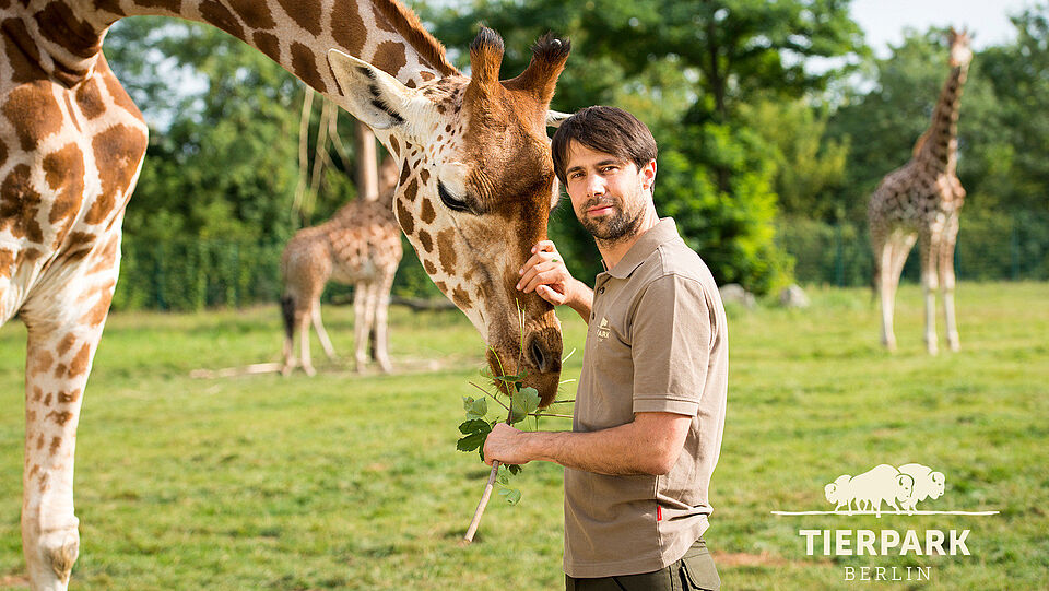 Biologe Dr. Florian Sicks mit Giraffen