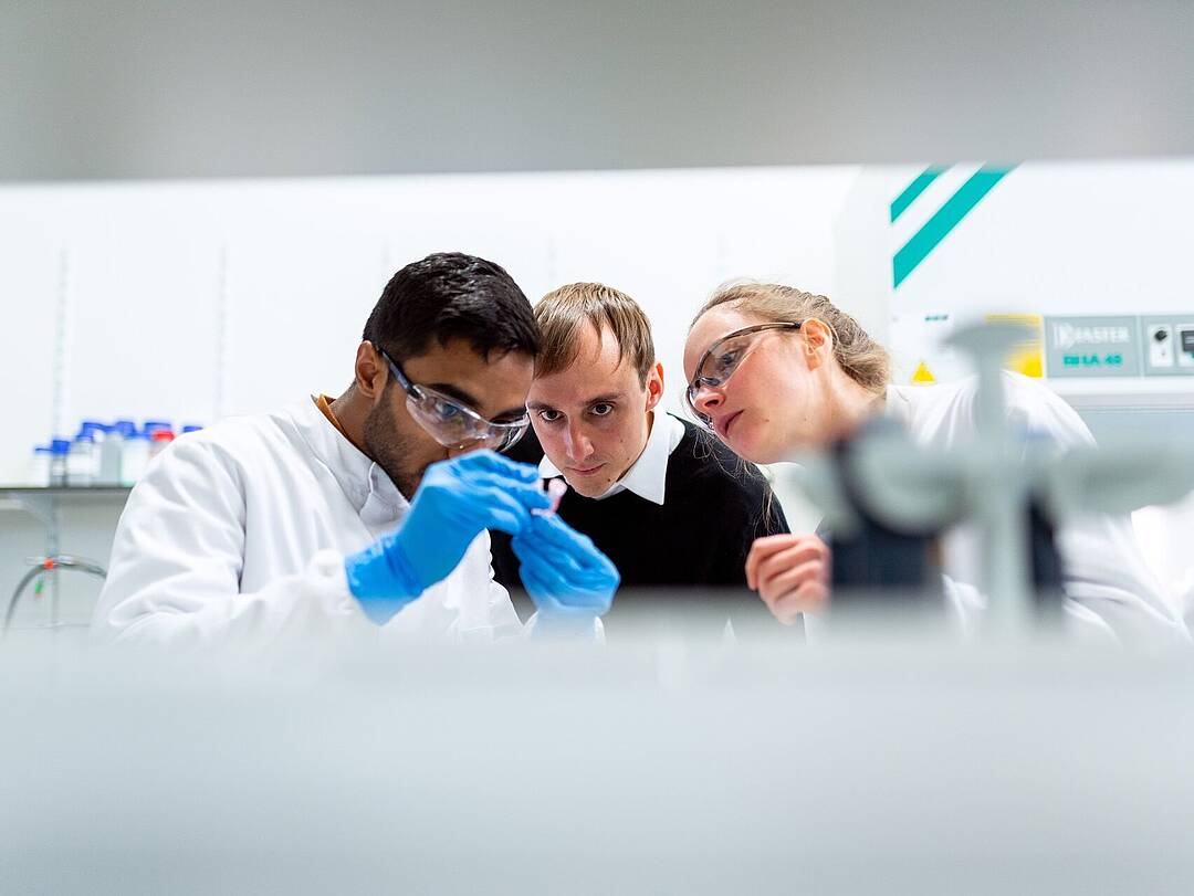 Researchers in a lab taking a closer look at a sample