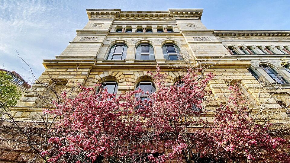 Back of the main building of the Technische Universität Berlin with a blooming tree in front, photographed from a frog's perspective
