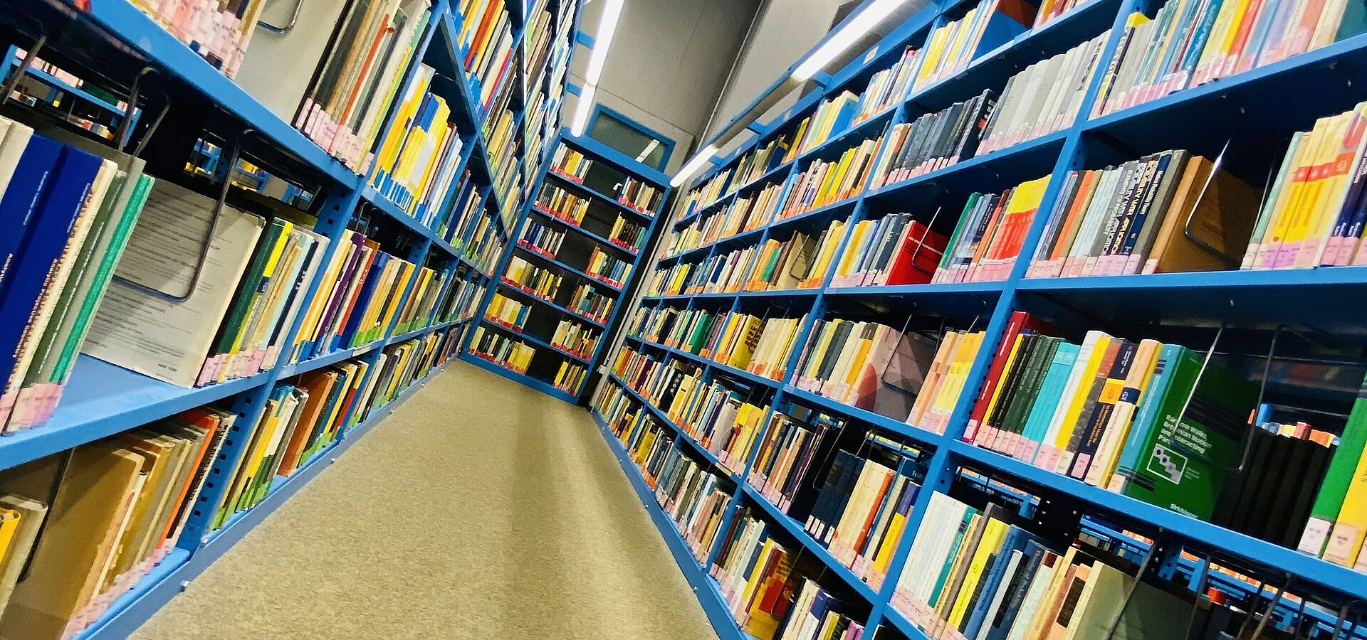 Blaue Bücherregale in der Bibliothek