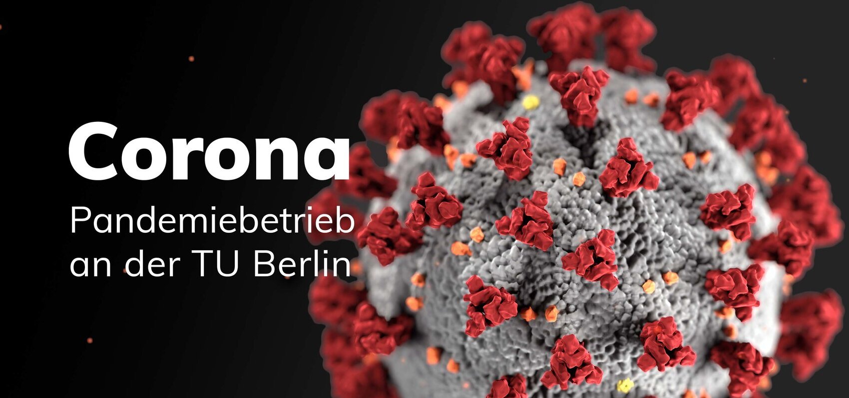 Coronavirus TU Berlin informiert Beschäftigte und Studierende