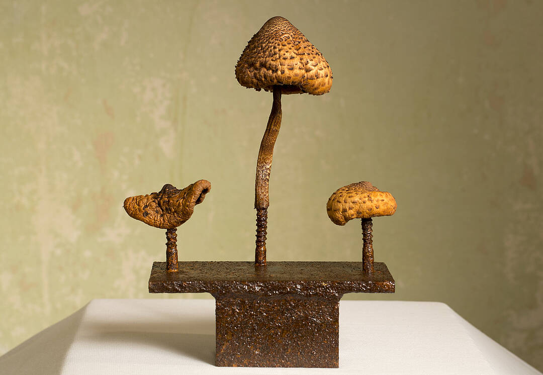 Mushrooms in art: “"Champi(gn)ons"