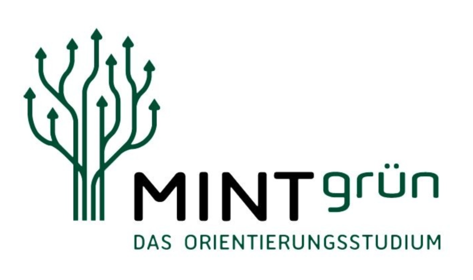 Logo des Orientierungsstudiums MINTgrün