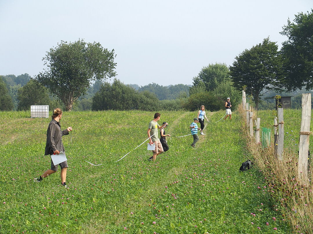 Beim Aufbau einer „Agroforstwirtschaft“ arbeiten Bürger*innen und Wissenschaftler*innen der Universität Münster Hand in Hand – hier bei der Kartierung von Wildbienen-Populationen.